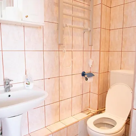 Central Apartment Apartment Timisoara